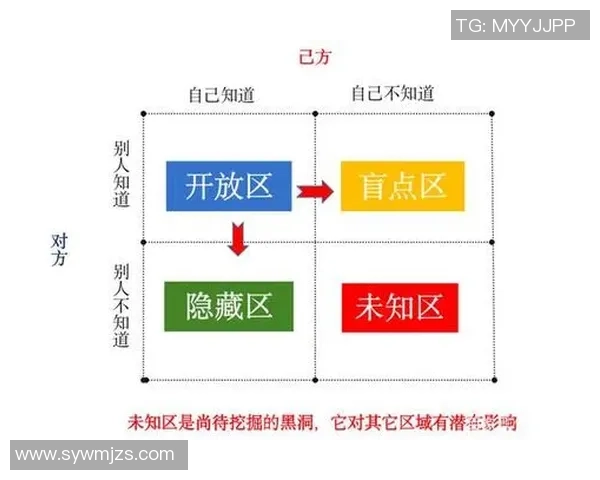 羽毛球战术解析：深入探讨上海羽毛球队的灵活转换体系与实战应用